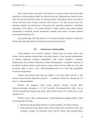 Verslo planas: medienos gaminiai UAB "Hesora" 17 puslapis