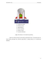 Verslo planas: medienos gaminiai UAB "Hesora" 19 puslapis