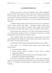 Verslo planas: medienos gaminiai UAB "Hesora" 20 puslapis