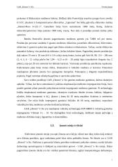 Verslo planas: medienos gaminiai UAB "Hesora" 4 puslapis