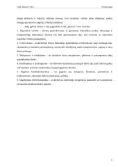 Verslo planas: medienos gaminiai UAB "Hesora" 5 puslapis