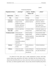Verslo planas: medienos gaminiai UAB "Hesora" 9 puslapis