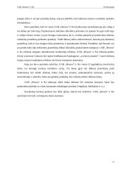 Verslo planas: medienos gaminiai UAB "Hesora" 10 puslapis