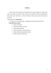 Verslo planas: mergvakarių ir bernvakarių organizavimas 2 puslapis