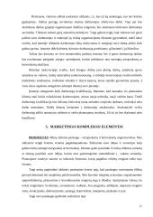 Verslo planas: mergvakarių ir bernvakarių organizavimas 11 puslapis