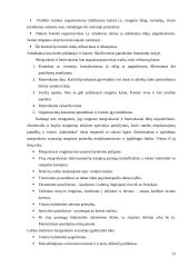 Verslo planas: mergvakarių ir bernvakarių organizavimas 12 puslapis