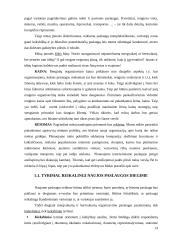 Verslo planas: mergvakarių ir bernvakarių organizavimas 14 puslapis