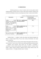 Verslo planas: mergvakarių ir bernvakarių organizavimas 16 puslapis