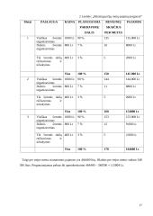 Verslo planas: mergvakarių ir bernvakarių organizavimas 17 puslapis