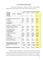 Verslo planas: mergvakarių ir bernvakarių organizavimas 18 puslapis