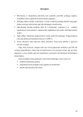 Verslo planas: mergvakarių ir bernvakarių organizavimas 20 puslapis