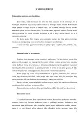 Verslo planas: mergvakarių ir bernvakarių organizavimas 3 puslapis