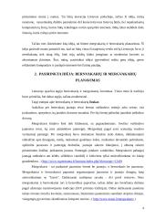 Verslo planas: mergvakarių ir bernvakarių organizavimas 4 puslapis