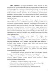 Verslo planas: mergvakarių ir bernvakarių organizavimas 5 puslapis