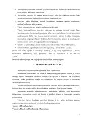 Verslo planas: mergvakarių ir bernvakarių organizavimas 7 puslapis