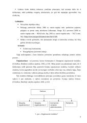 Verslo planas: mergvakarių ir bernvakarių organizavimas 9 puslapis