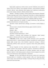 Verslo planas: mergvakarių ir bernvakarių organizavimas 10 puslapis