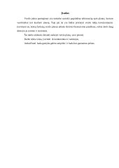 Verslo planas: metalinių detalių gamyba UAB "MK" 4 puslapis