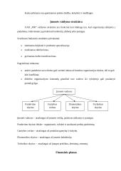 Verslo planas: metalinių detalių gamyba UAB "MK" 10 puslapis