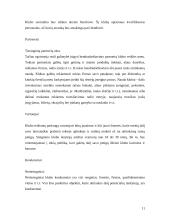 Verslo planas: naktinis klubas UAB "Moon" 11 puslapis