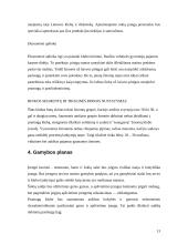 Verslo planas: naktinis klubas UAB "Moon" 13 puslapis