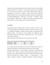 Verslo planas: naktinis klubas UAB "Moon" 15 puslapis