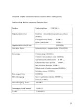 Verslo planas: naktinis klubas UAB "Moon" 19 puslapis