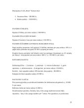 Verslo planas: naktinis klubas UAB "Moon" 20 puslapis