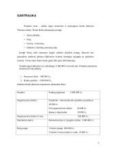 Verslo planas: naktinis klubas UAB "Moon" 3 puslapis