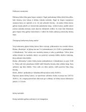 Verslo planas: naktinis klubas UAB "Moon" 7 puslapis