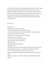 Verslo planas: naktinis klubas UAB "Moon" 9 puslapis