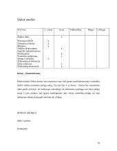 Verslo planas: naktinis klubas UAB "Moon" 10 puslapis