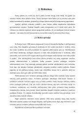 Verslo planas: nekilnojamojo turto vertinimas UAB "Invalda Real Estate" 18 puslapis