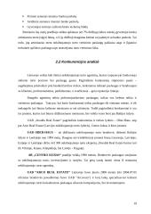 Verslo planas: nekilnojamojo turto vertinimas UAB "Invalda Real Estate" 19 puslapis