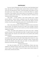 Verslo planas: nekilnojamojo turto vertinimas UAB "Invalda Real Estate" 3 puslapis