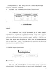 Verslo planas: nekilnojamojo turto vertinimas UAB "Invalda Real Estate" 6 puslapis