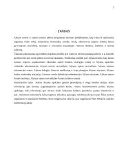 Verslo planas: Petro Petraičio kaimo turizmo sodyba 2 puslapis