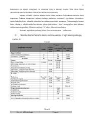 Verslo planas: Petro Petraičio kaimo turizmo sodyba 11 puslapis