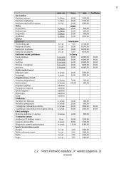 Verslo planas: Petro Petraičio kaimo turizmo sodyba 12 puslapis