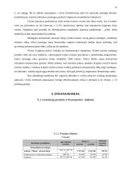 Verslo planas: Petro Petraičio kaimo turizmo sodyba 15 puslapis