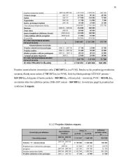 Verslo planas: Petro Petraičio kaimo turizmo sodyba 16 puslapis