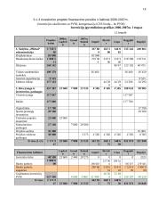 Verslo planas: Petro Petraičio kaimo turizmo sodyba 18 puslapis