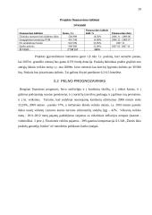 Verslo planas: Petro Petraičio kaimo turizmo sodyba 20 puslapis