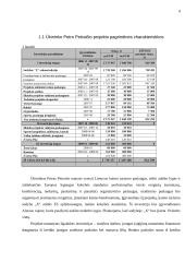 Verslo planas: Petro Petraičio kaimo turizmo sodyba 4 puslapis