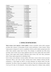 Verslo planas: Petro Petraičio kaimo turizmo sodyba 7 puslapis