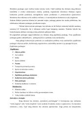 Verslo planas: Petro Petraičio kaimo turizmo sodyba 10 puslapis