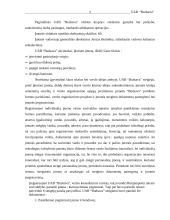 Verslo planas: reklamos gamyba UAB "Budsava" 2 puslapis