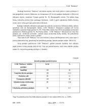 Verslo planas: reklamos gamyba UAB "Budsava" 11 puslapis