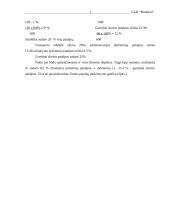 Verslo planas: reklamos gamyba UAB "Budsava" 12 puslapis