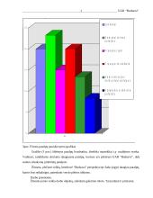 Verslo planas: reklamos gamyba UAB "Budsava" 13 puslapis
